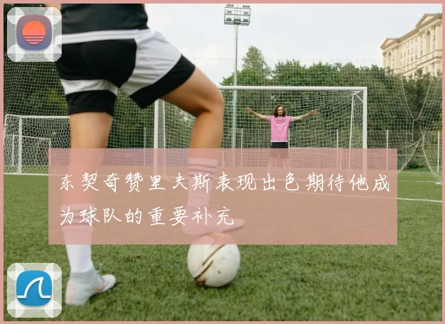 东契奇赞里夫斯表现出色期待他成为球队的重要补充